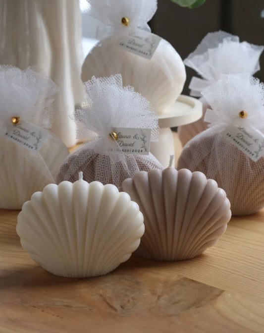 Coquillage blanc, tulle